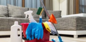 domestic cleaning