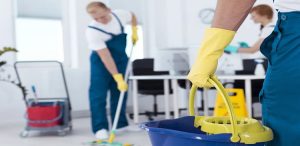 Domestic cleaners